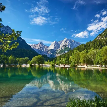 Pikon In Kranjska Gora