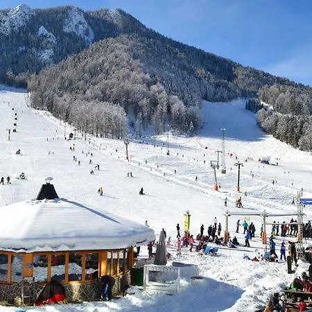 Pikon In *